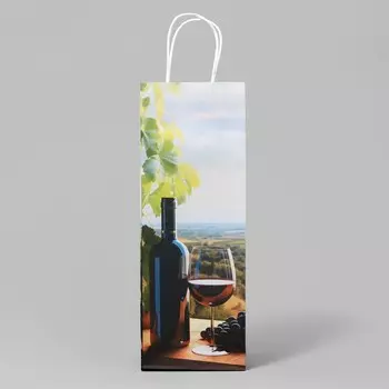 Пакет подарочный под бутылку, упаковка, «Вино», белый крафт, 13 х 36 х 10 см