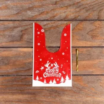 Пакет подарочный, 1323 см