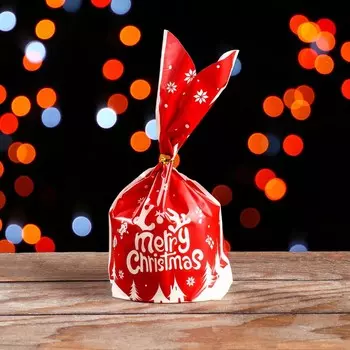 Пакет подарочный, 1323 см