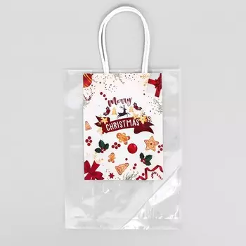 Пакет подарочный, 21 x 15 + 7,5 см