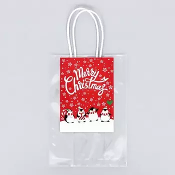 Пакет подарочный, 21 x 15 + 7,5 см