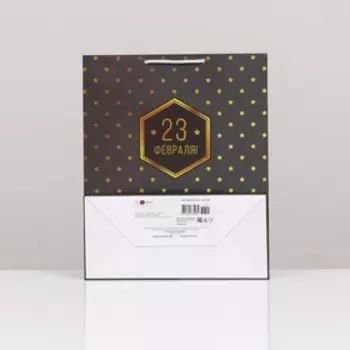 Пакет подарочный "23 февраля", 26 х 32 х 12 см