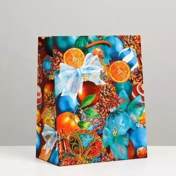 Пакет подарочный "Апельсины", 18 х 22,3 х 10 см