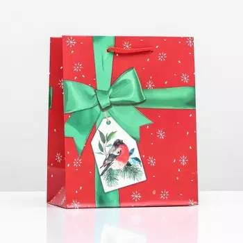 Пакет подарочный "Бант", 18 х 22,3 х 10 см