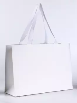 Пакет подарочный «Белый», 282010 см