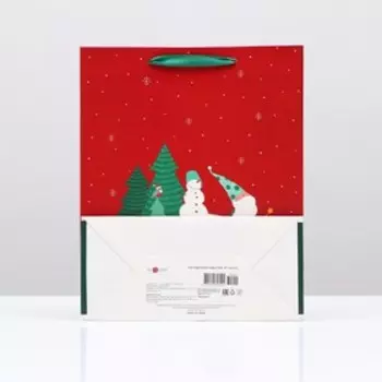 Пакет подарочный "Бордовое небо", 26 х 32 х 12 см