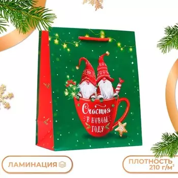 Пакет подарочный новогодний ламинированный «Братья эльфы», 1822.310 см