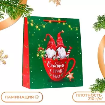 Пакет подарочный «Братья гномы», 263212 см