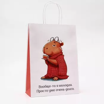 Пакет подарочный бумажный, «Молодая», 2410.532 см