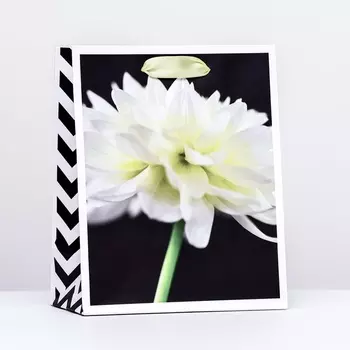 Пакет подарочный "ЧБ цветок", 18 х 22,3 х 10 см