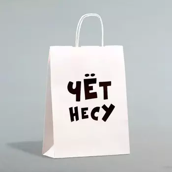 Пакет подарочный бумажный «Чёт несу», 241428 см