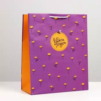 Пакет подарочный "Чудеса рядом", 26 х 32 х 12 см