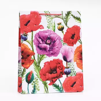 Пакет подарочный «Цветы на лугу», 3342.510 см