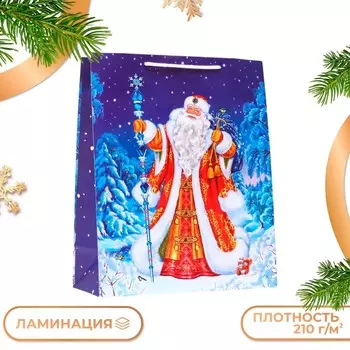 Пакет подарочный "Дед мороз", 26 х 32 х 12 см