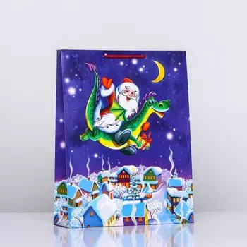 Пакет подарочный новогодний ламинированный «Дед Мороз и Дракоша» , 3342.510 см