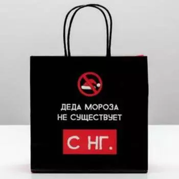 Пакет подарочный новогодний «Деда мороза не существует», 22 х 22 х 11 см