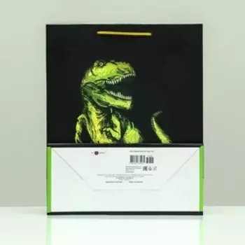 Пакет подарочный "Динозавр", 26 х 32 х 12 см