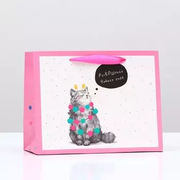 Пакет подарочный "Домашний кот", 23 х 17,8 х 9,8 см