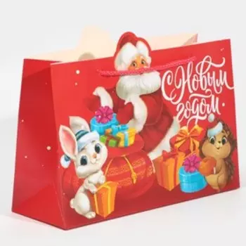 Пакет подарочный «Друзья», 30 × 23 × 10 см