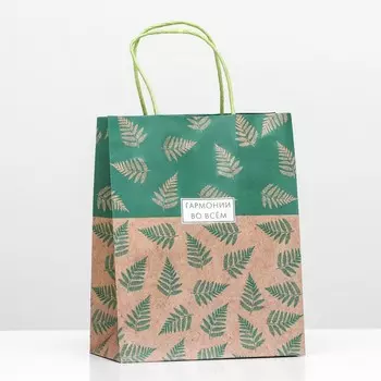 Пакет подарочный «Гармония во всём» 18 х 22,3 х 10 см