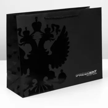 Пакет подарочный «Герб», L 40 × 31 × 14 см