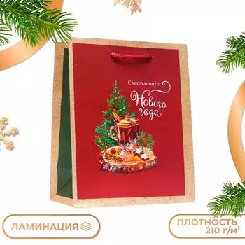 Пакет подарочный «Глинтвейн», 1822.310 см