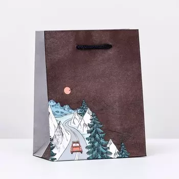 Пакет подарочный "Горная дорога", 11,5 х 14,5 х 6,5 см