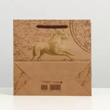 Пакет подарочный "Гороскоп", крафт, 22.5 x 23 x 10 см