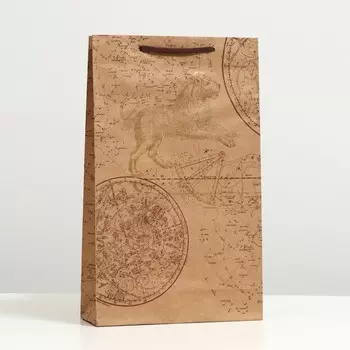 Пакет подарочный "Гороскоп", крафт, 40.5 x 24.8 x 9 см