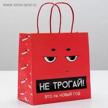 Пакет подарочный новогодний «Это на новый год», 22 х 22 х 11 см