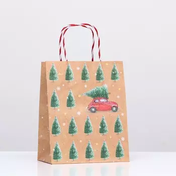 Пакет подарочный «Ёлочный лес» 1822.310 см