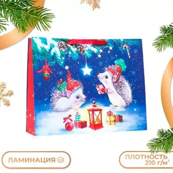 Пакет подарочный новогодний ламинированный «Ёжики», 504015 см