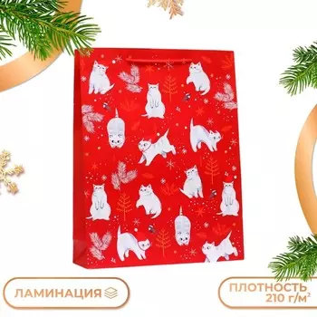 Пакет подарочный "Каникулы", 33 х 42,5 х 10 см.