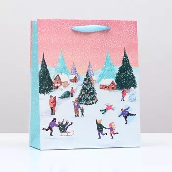 Пакет подарочный "Каток", 26 х 32 х 12 см