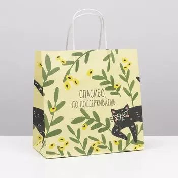 Пакет подарочный, упаковка, «Котейка», 22 х 22 х 11 см