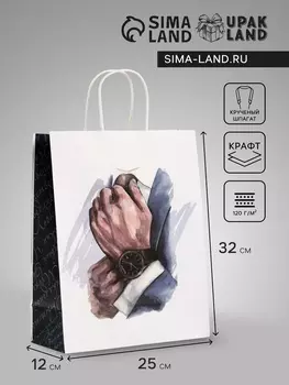 Пакет подарочный крафт «Джентльмен», 251232 см