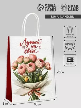 Пакет подарочный крафт «Лучшей на свете» 18825 См