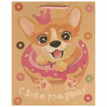 Пакет подарочный крафт M, 18 23 10 см