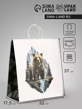 Пакет подарочный крафт «Медведь», 3217.537 см