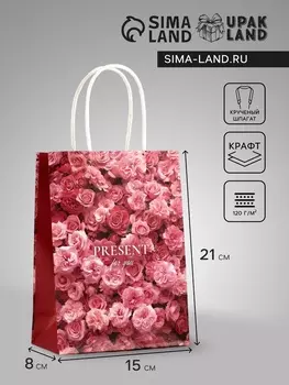 Пакет подарочный крафт Present, 15821 см