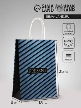 Пакет подарочный крафт Present, 18825 см