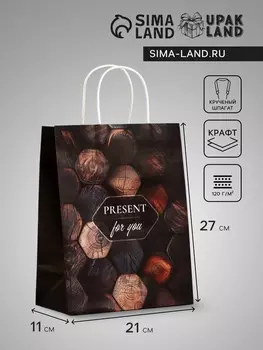 Пакет подарочный крафт Present, 211127 см