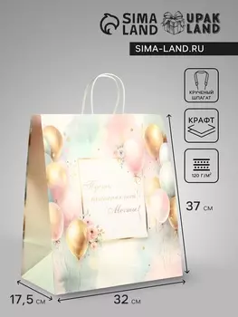 Пакет подарочный крафт «Пусть исполняются мечты», 3217.537 см