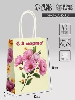 Пакет подарочный крафт «С Женским днём!» 12616 см