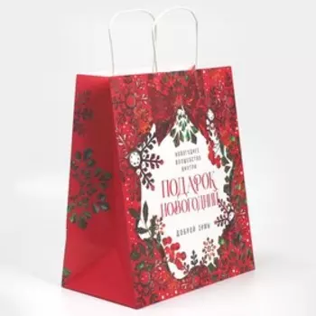 Пакет подарочный крафтовый «Доброй зимы», 28 × 32 × 15 см