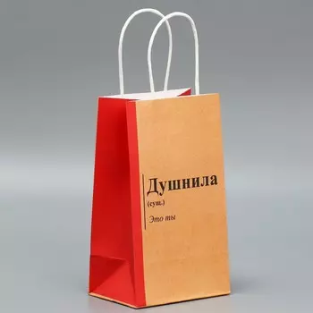Пакет подарочный крафтовый, упаковка, «Душнила», 12 х 21 х 9 см