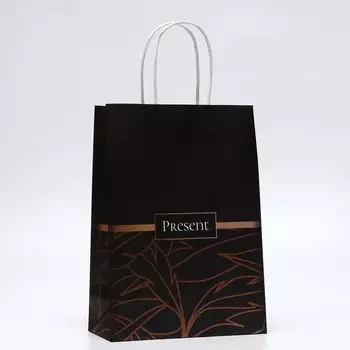 Пакет подарочный крафтовый Present 18825 см, 120 г/м