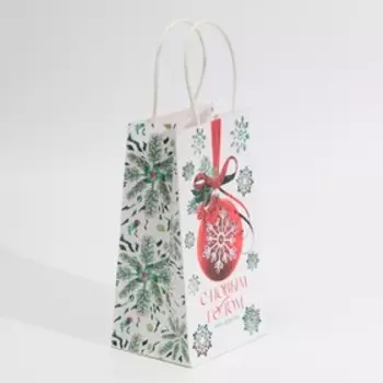 Пакет подарочный крафтовый «С Новым годом», 12 21 9 см