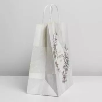 Пакет подарочный крафтовый «С Новым годом!», 28 × 32 × 15 см