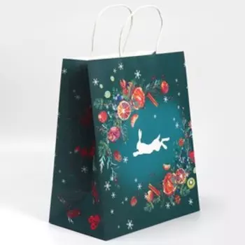 Пакет подарочный крафтовый «Сказка», 28 × 32 × 15 см